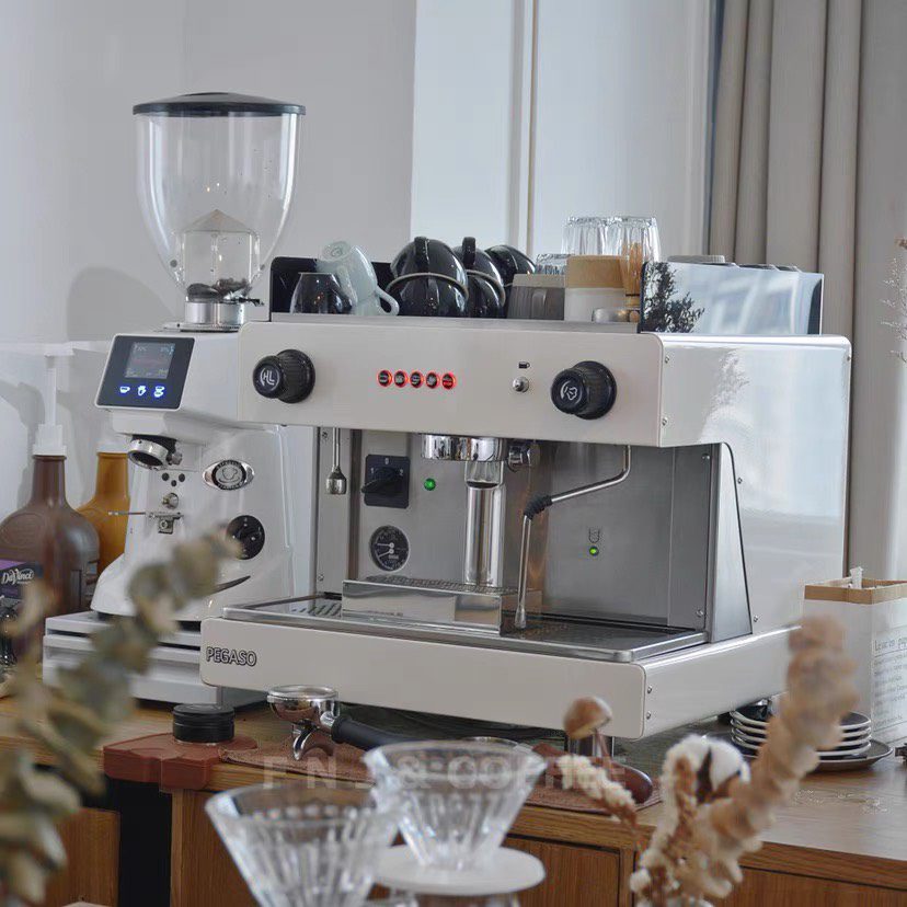 Máy pha cà phê Wega Peagaso 1 group - Secondhand - Ảnh 2